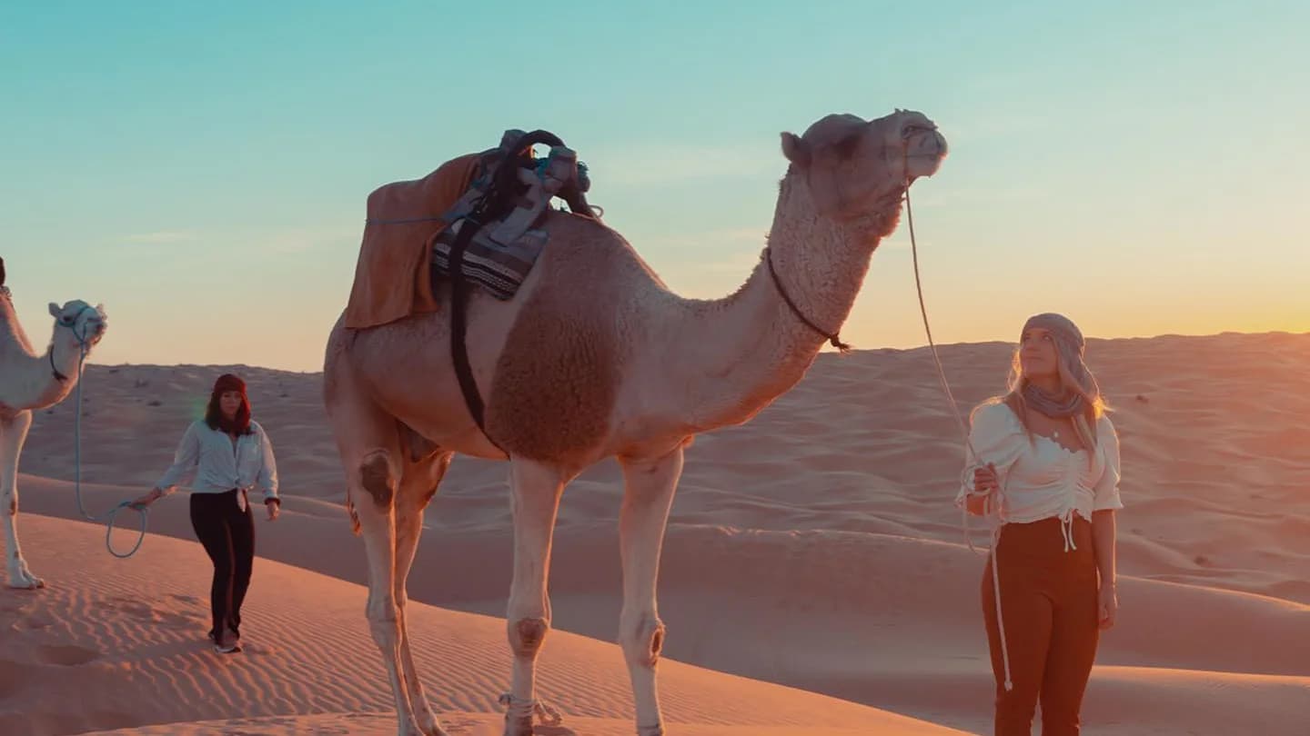 Sur les Pas des Bédouins : Une Aventure Nomade dans le Sahara