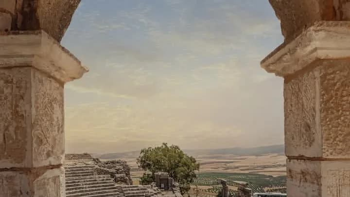 Escapade historique et culturelle à Tunis 8