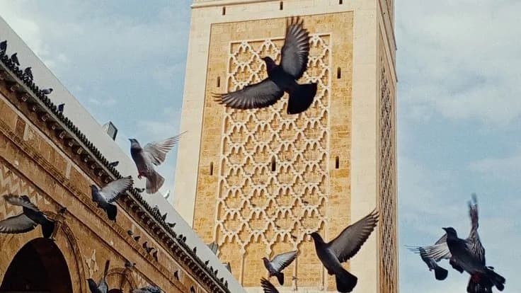 Escapade historique et culturelle à Tunis 20