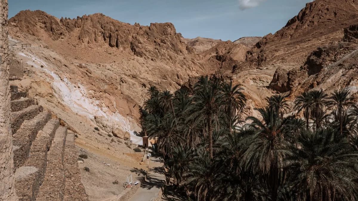 De Tunis au Grand Sud Tunisien 28