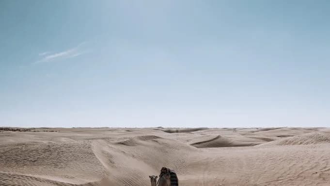 Treck dans le desert de douz avec les chameliers 2