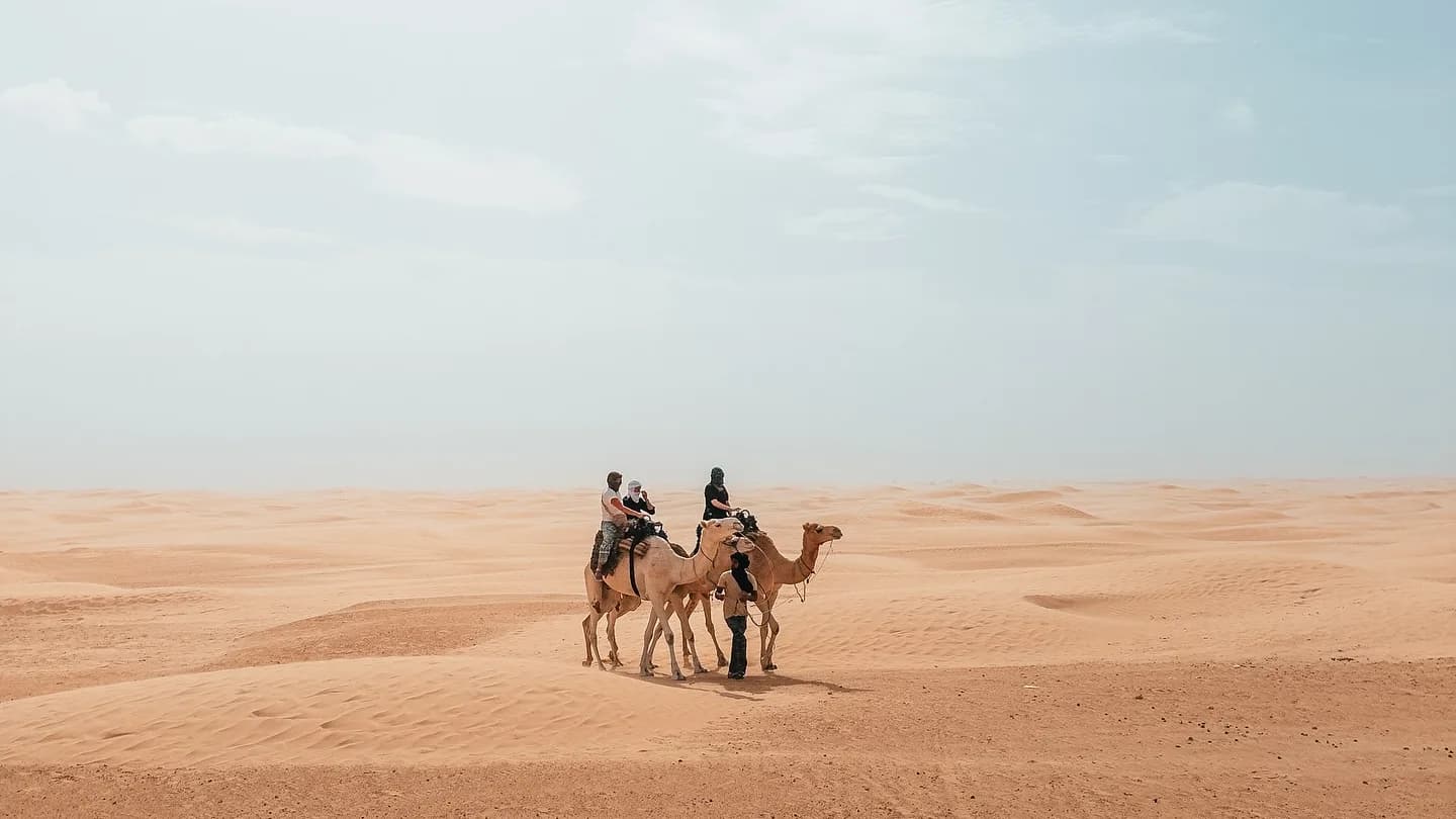 Treck dans le desert de douz avec les chameliers 5
