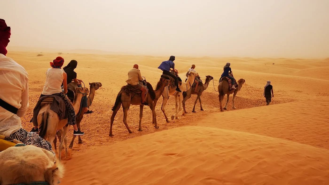 Treck dans le desert de douz avec les chameliers 6