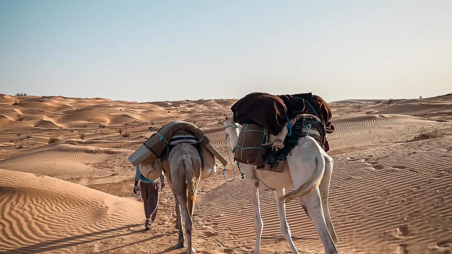 Treck dans le desert de douz avec les chameliers 8