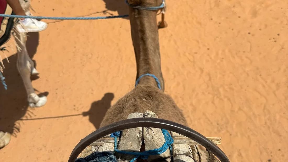 Sur les Pas des Bédouins : Une Aventure Nomade dans le Sahara 20