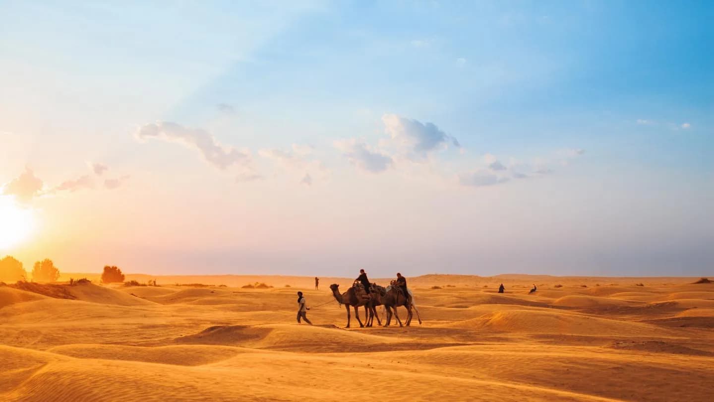 Sur les Pas des Bédouins : Une Aventure Nomade dans le Sahara 25