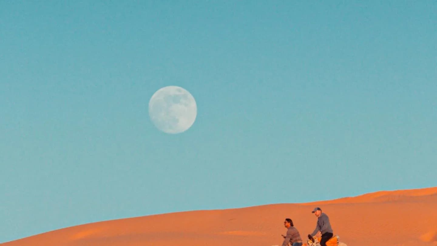 Sur les Pas des Bédouins : Une Aventure Nomade dans le Sahara 26