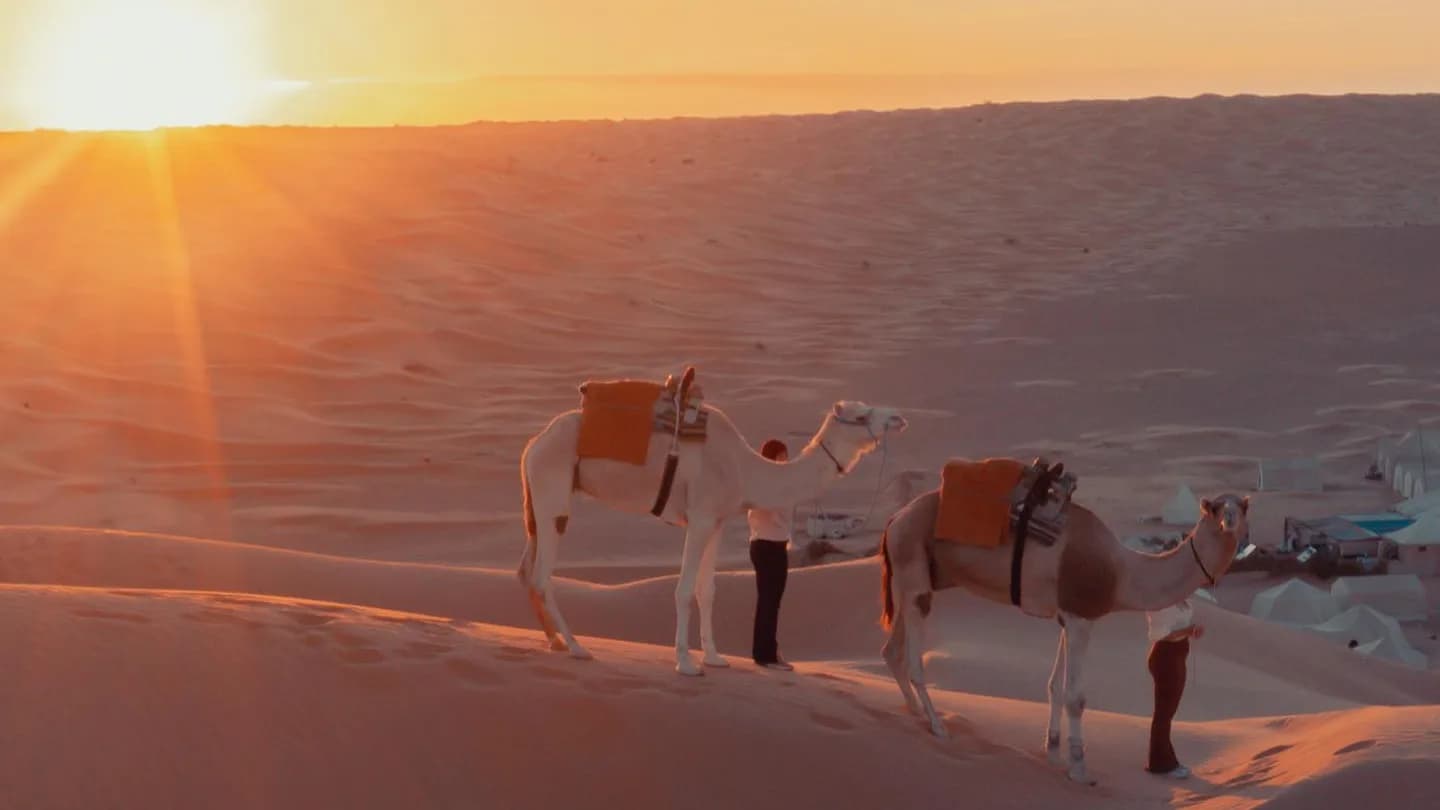 Sur les Pas des Bédouins : Une Aventure Nomade dans le Sahara 28