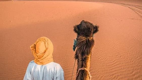 Sur les Pas des Bédouins : Une Aventure Nomade dans le Sahara 29
