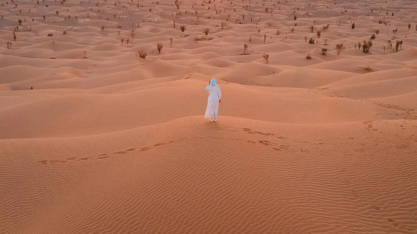 Coucher de Soleil dans les Dunes 4