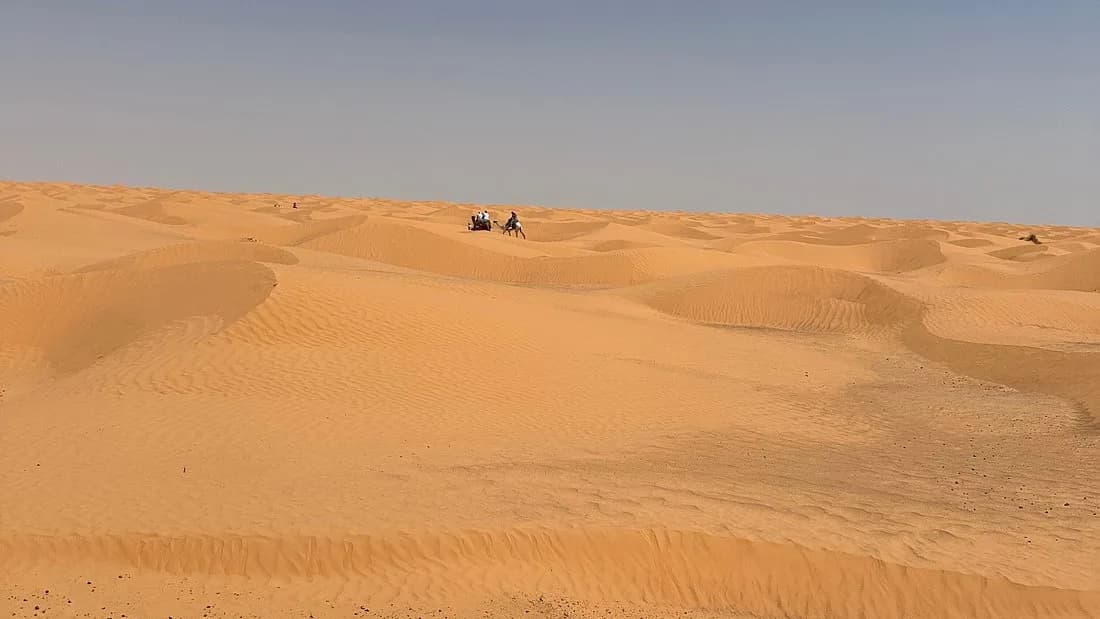 Coucher de Soleil dans les Dunes 11