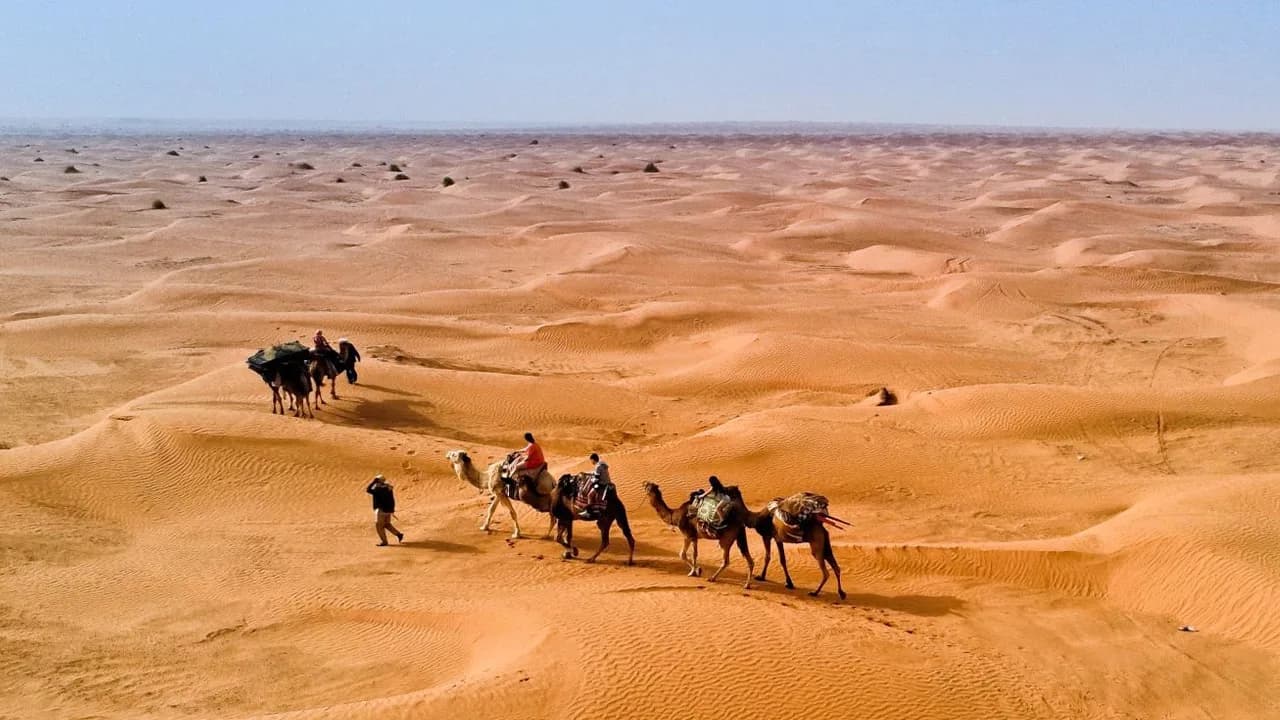 Coucher de Soleil dans les Dunes 35