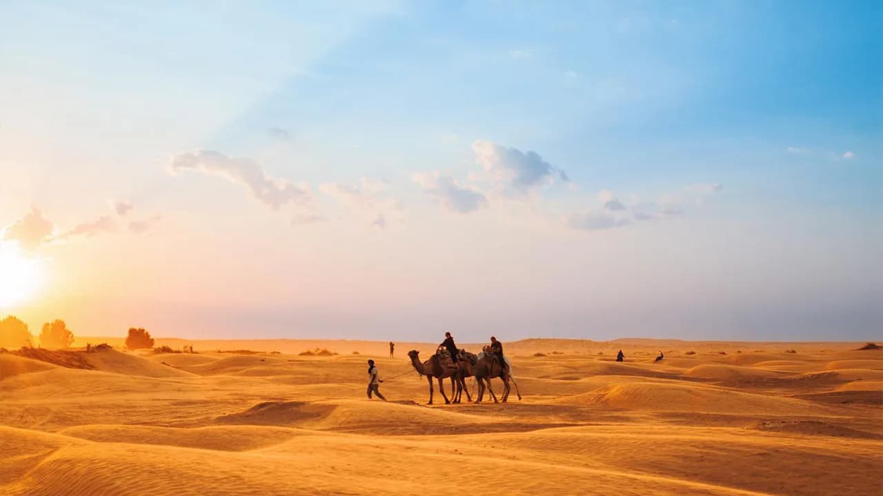 Coucher de Soleil dans les Dunes 36