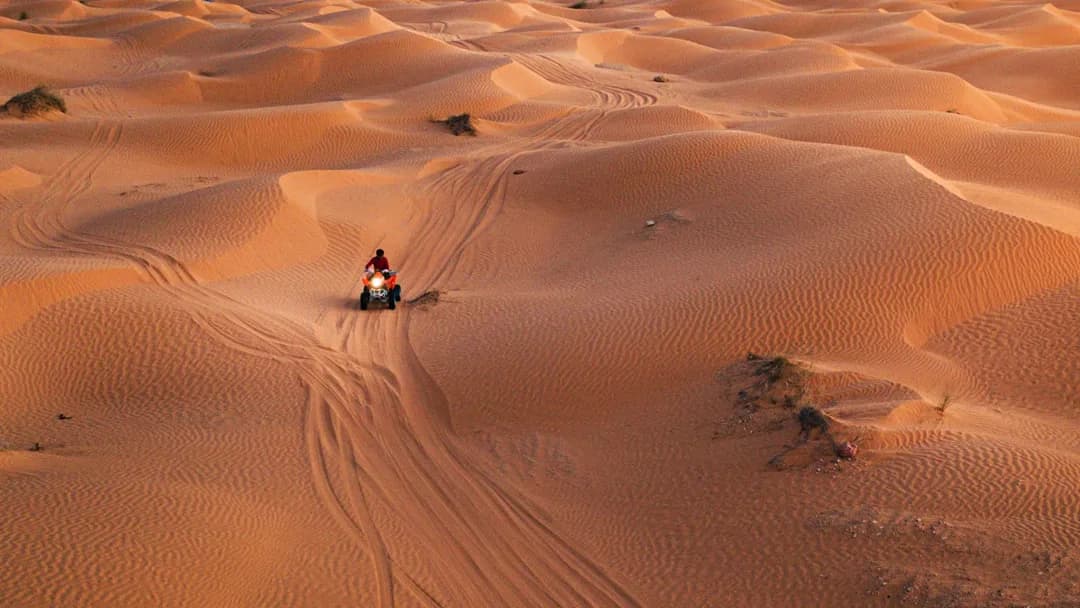 Coucher de Soleil dans les Dunes 44