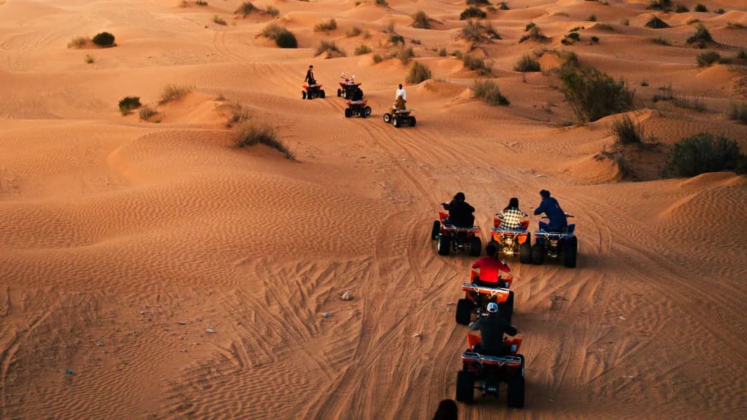 Coucher de Soleil dans les Dunes 45