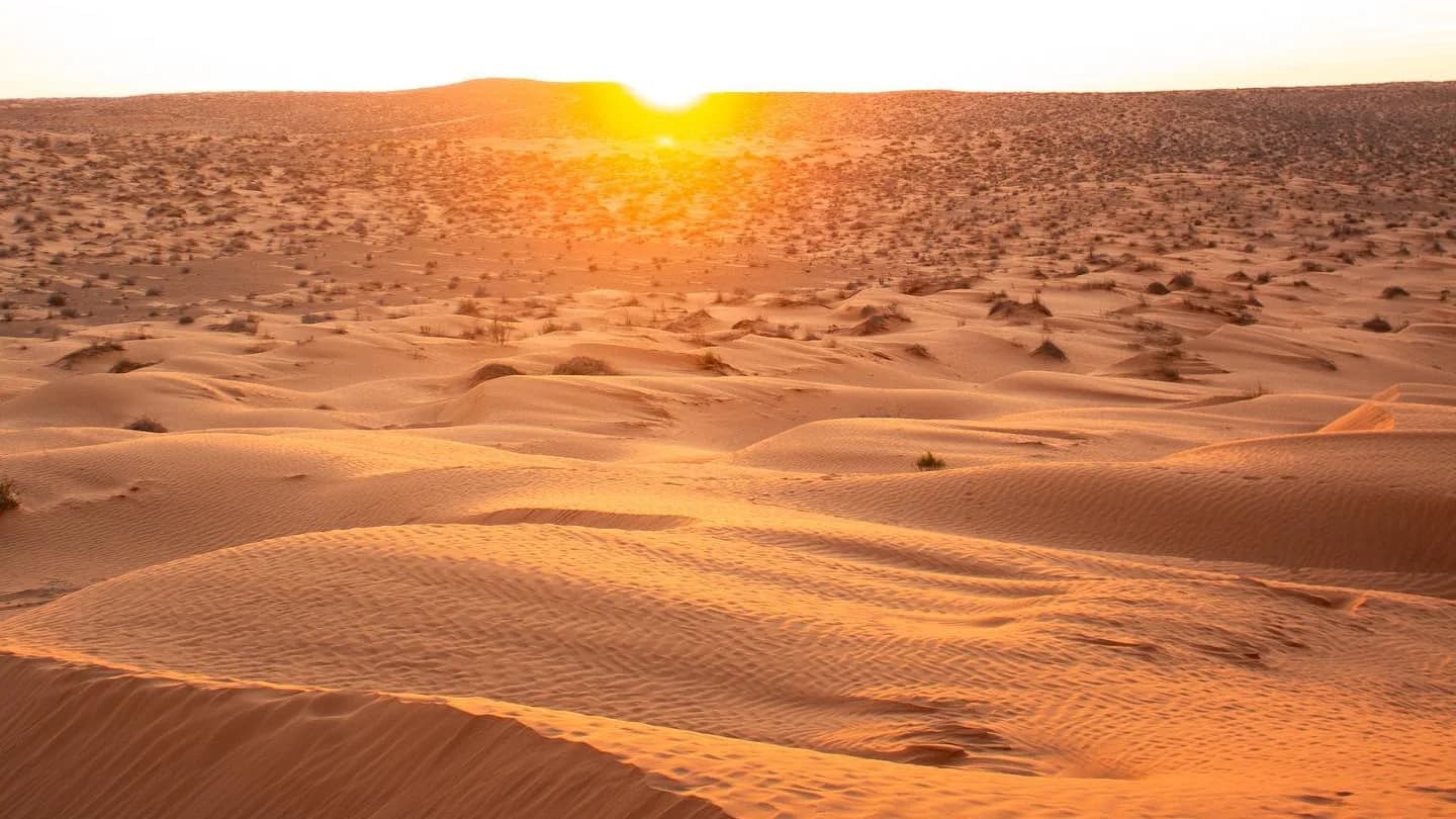 Coucher de Soleil dans les Dunes 49