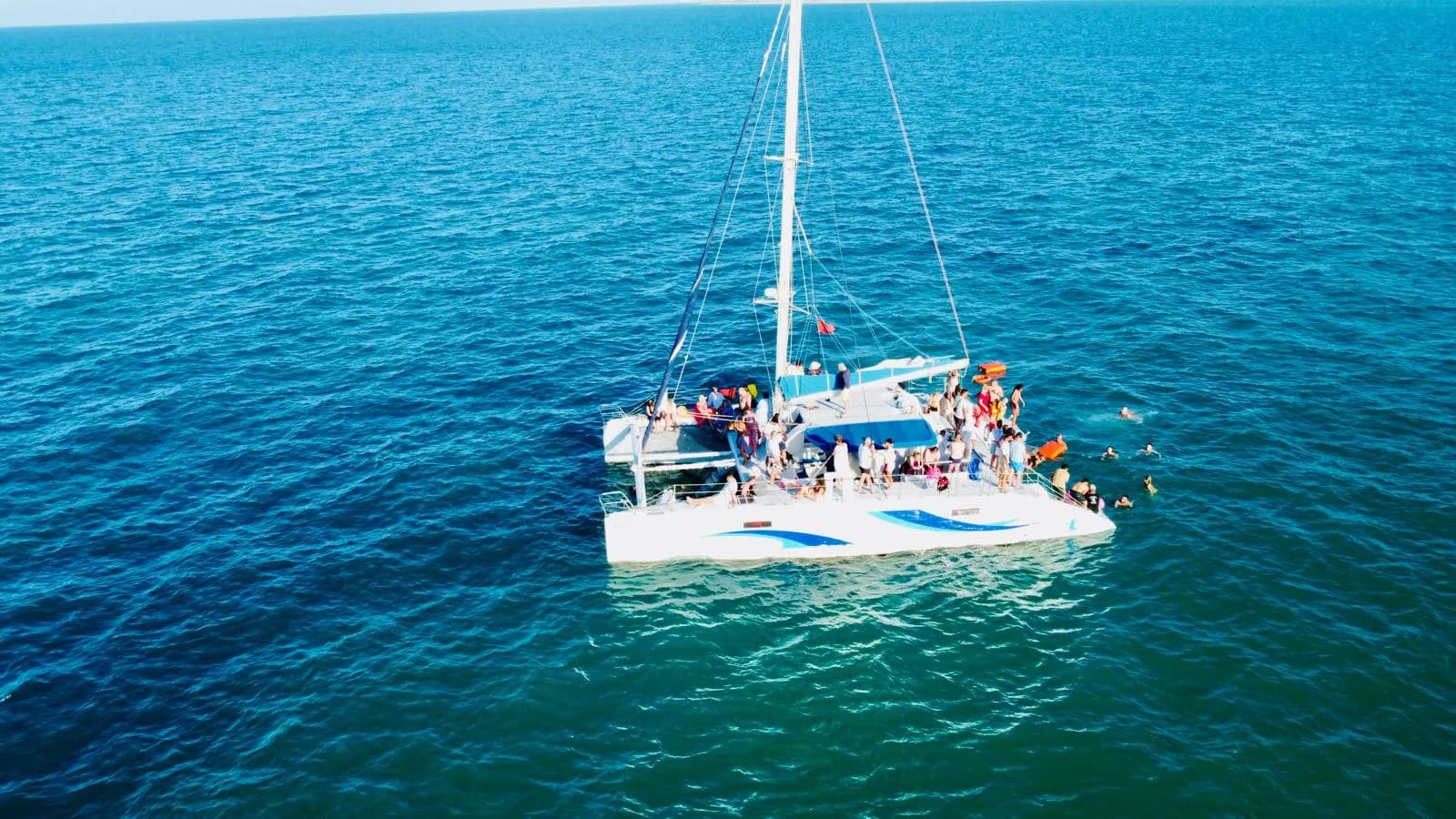 Sortie En Catamaran