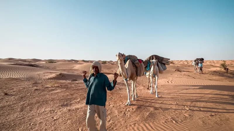 Treck dans le desert de douz avec les chameliers