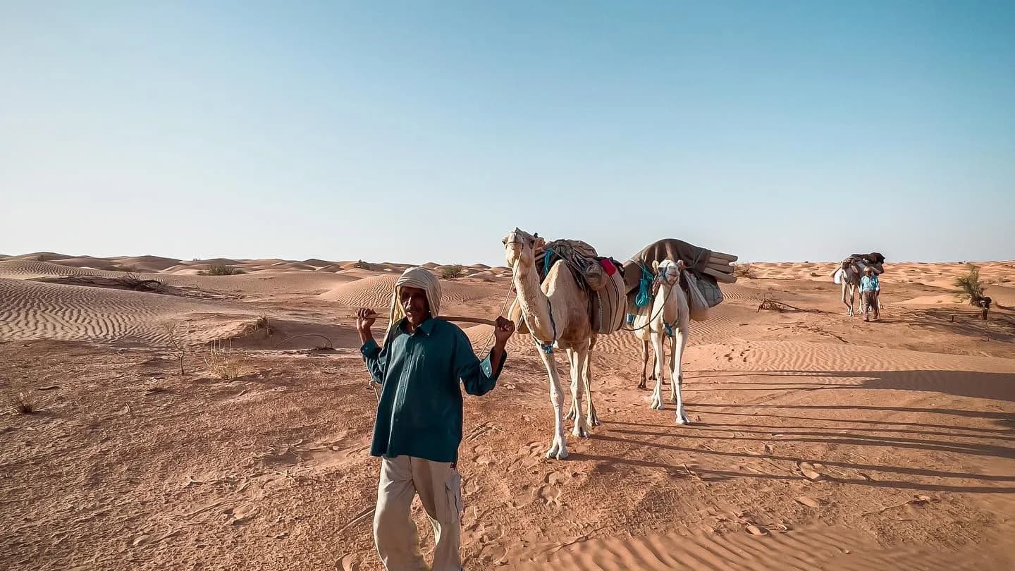 Treck dans le desert de douz avec les chameliers